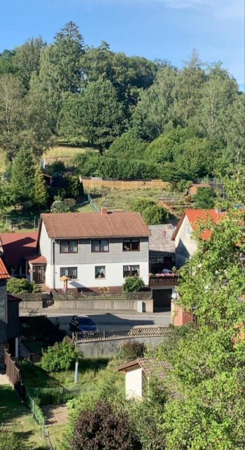 Walkenried Haus Wiesenblick מראה חיצוני תמונה